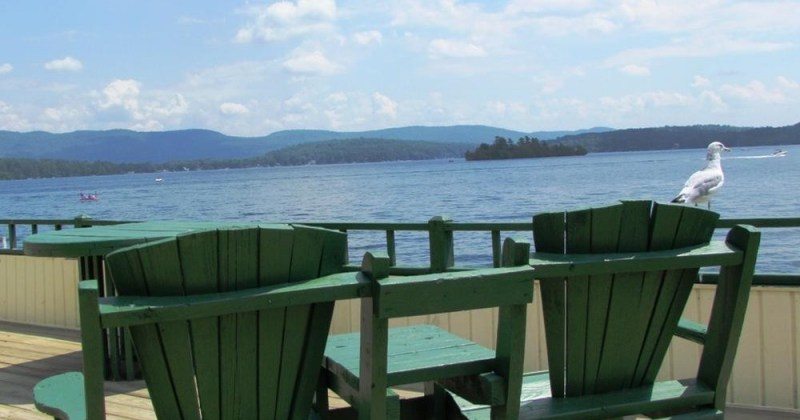 Adirondack chairs and seagull overlooking the lake
