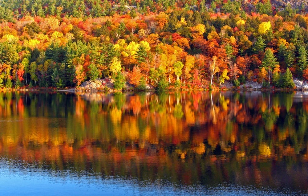 Autumn forest reflected in a lake