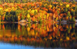 Picture of Lake George Fall Foliage