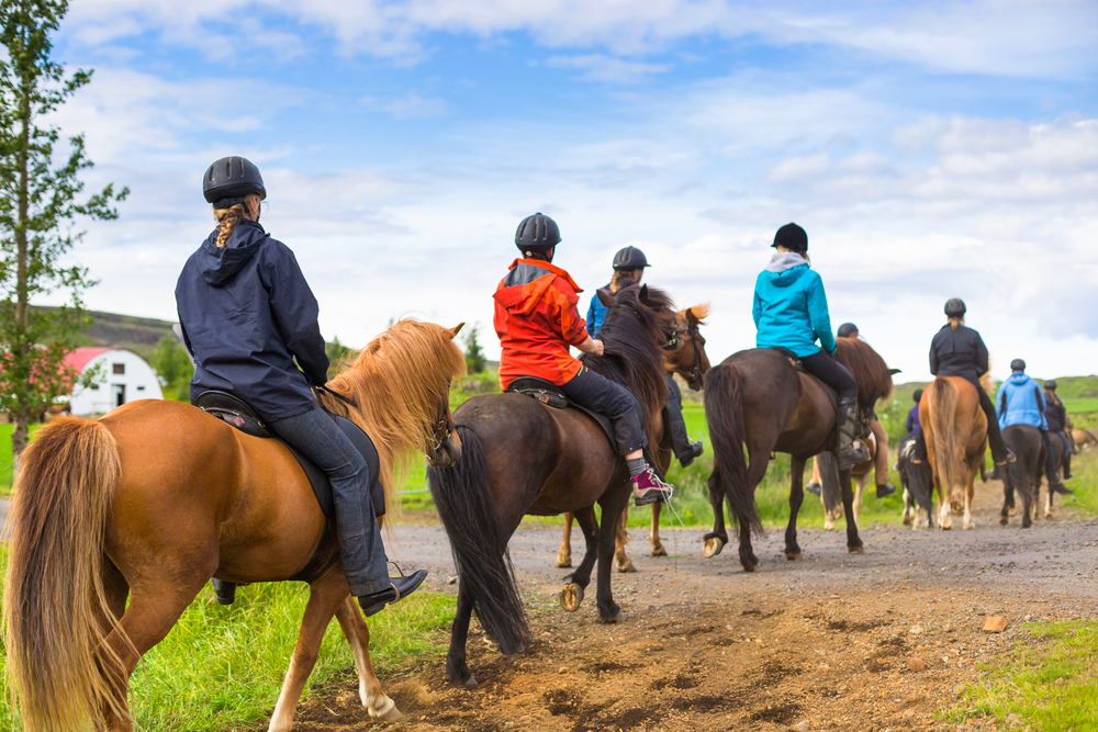 Photo of a group horseback riding in Lake George.
